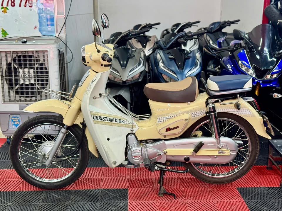  Cub Espero 50cc Odo:600km 2024 59XB-50552