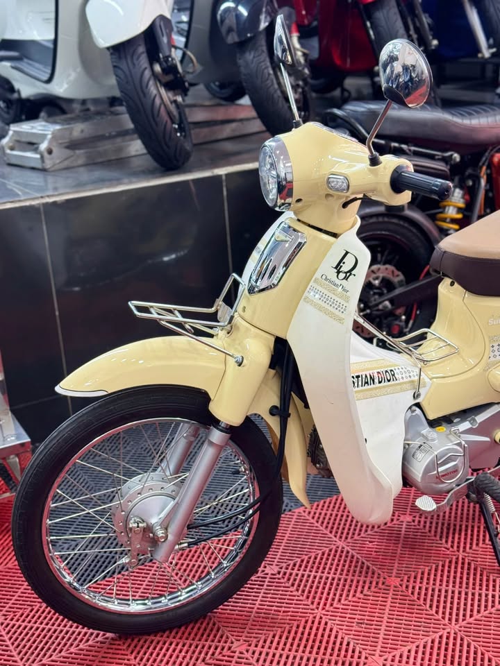  Cub Espero 50cc Odo:600km 2024 59XB-50552