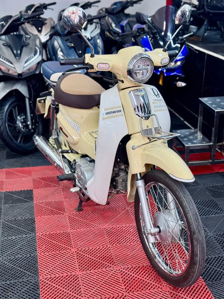  Cub Espero 50cc Odo:600km 2024 59XB-50552