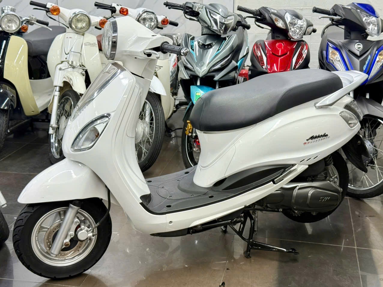 Atila Venus 2014 60F1-55708