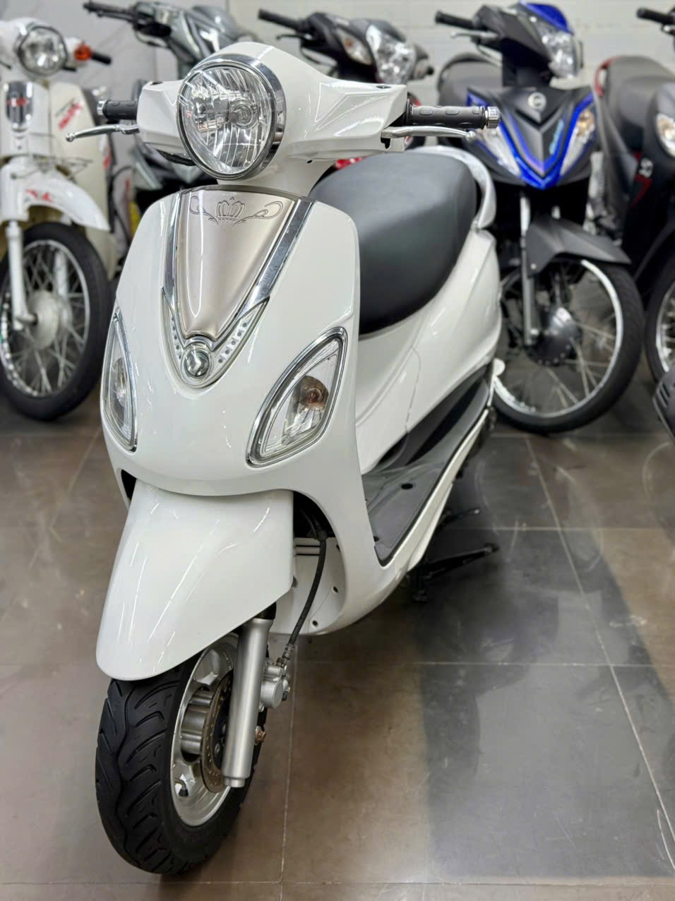 Atila Venus 2014 60F1-55708