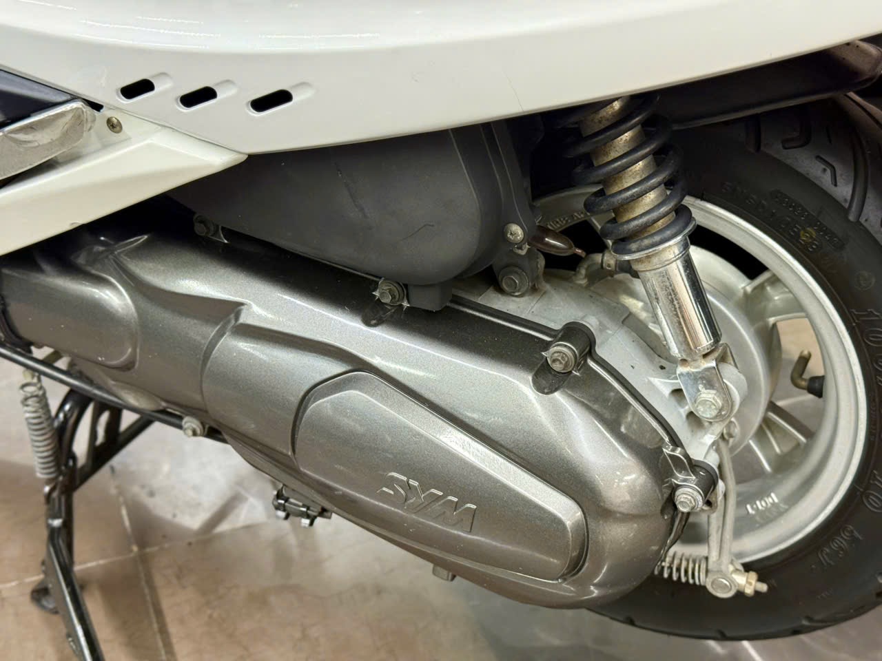 Atila Venus 2014 60F1-55708