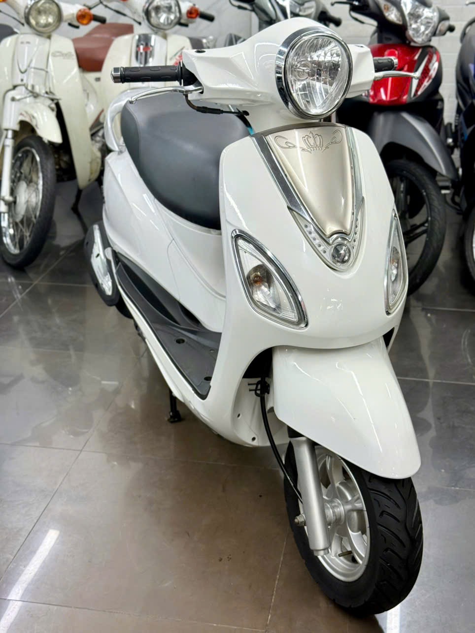 Atila Venus 2014 60F1-55708