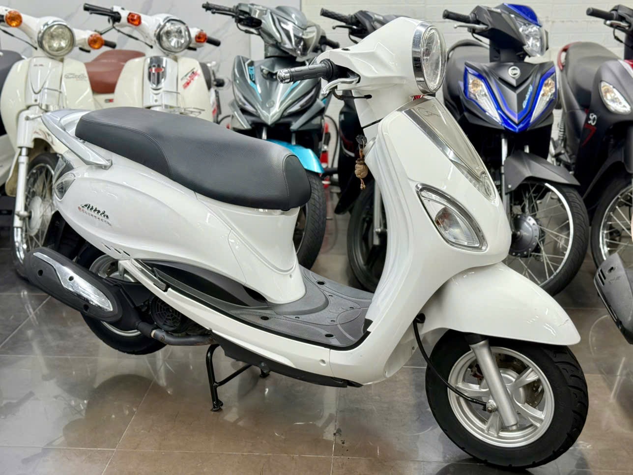 Atila Venus 2014 60F1-55708