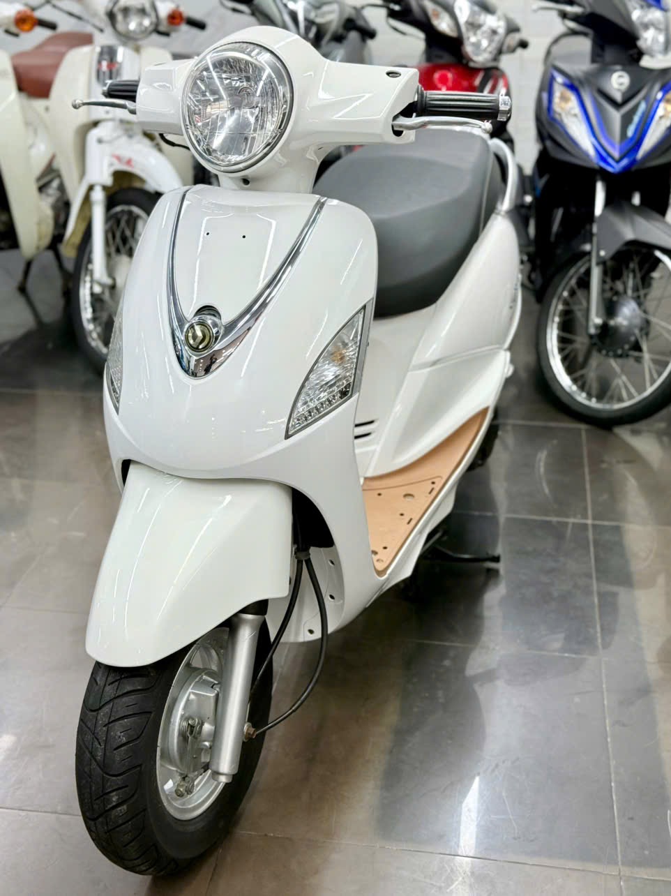 Atila Elizabet King 2015 59X1-61679