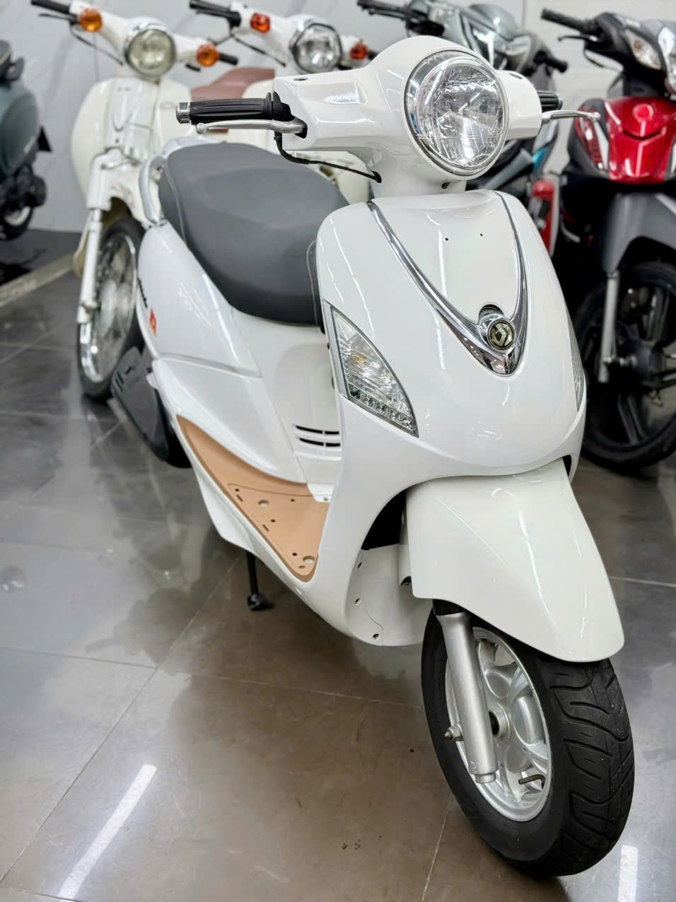 Atila Elizabet King 2015 59X1-61679