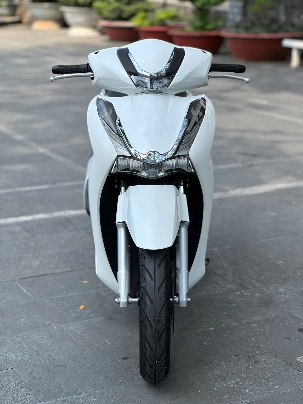 SH 2024 DỌN KIỂNG CHÍNH CHỦ BS 65AA 37190