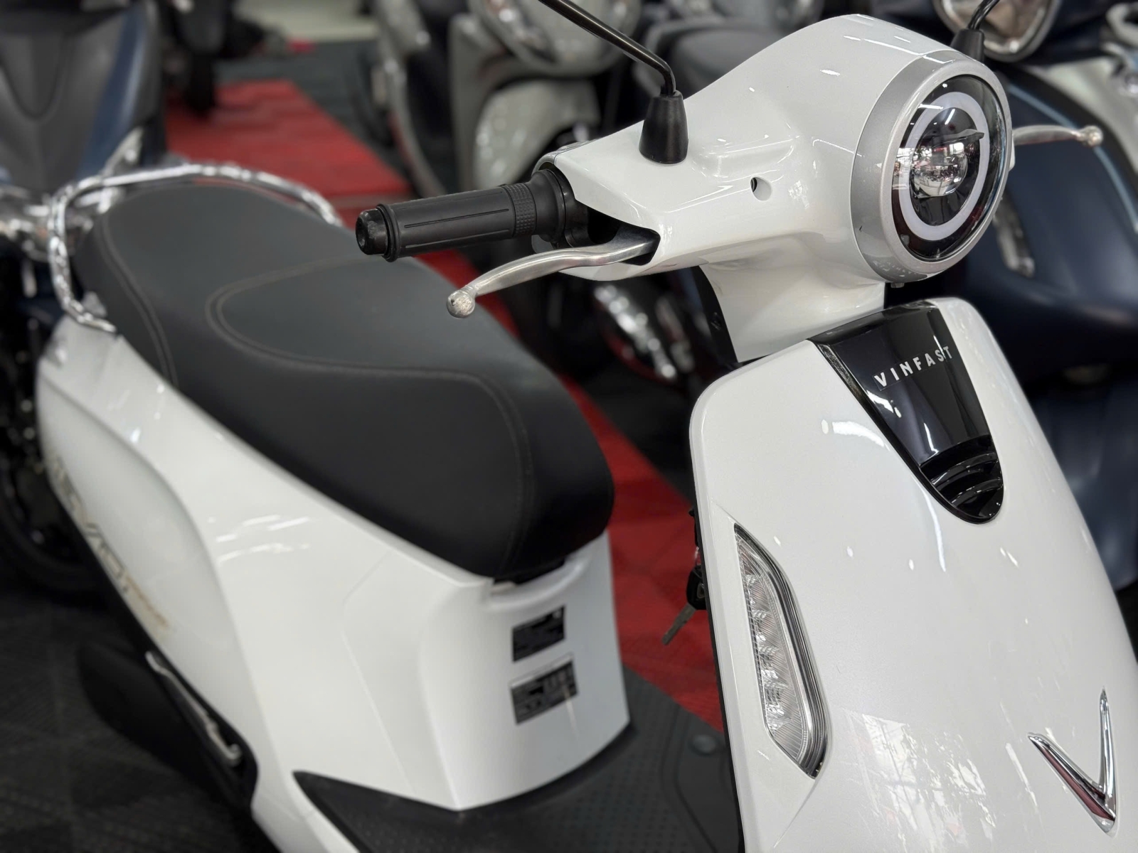 VINFART EVO GRAND 2025 64AA - 16073