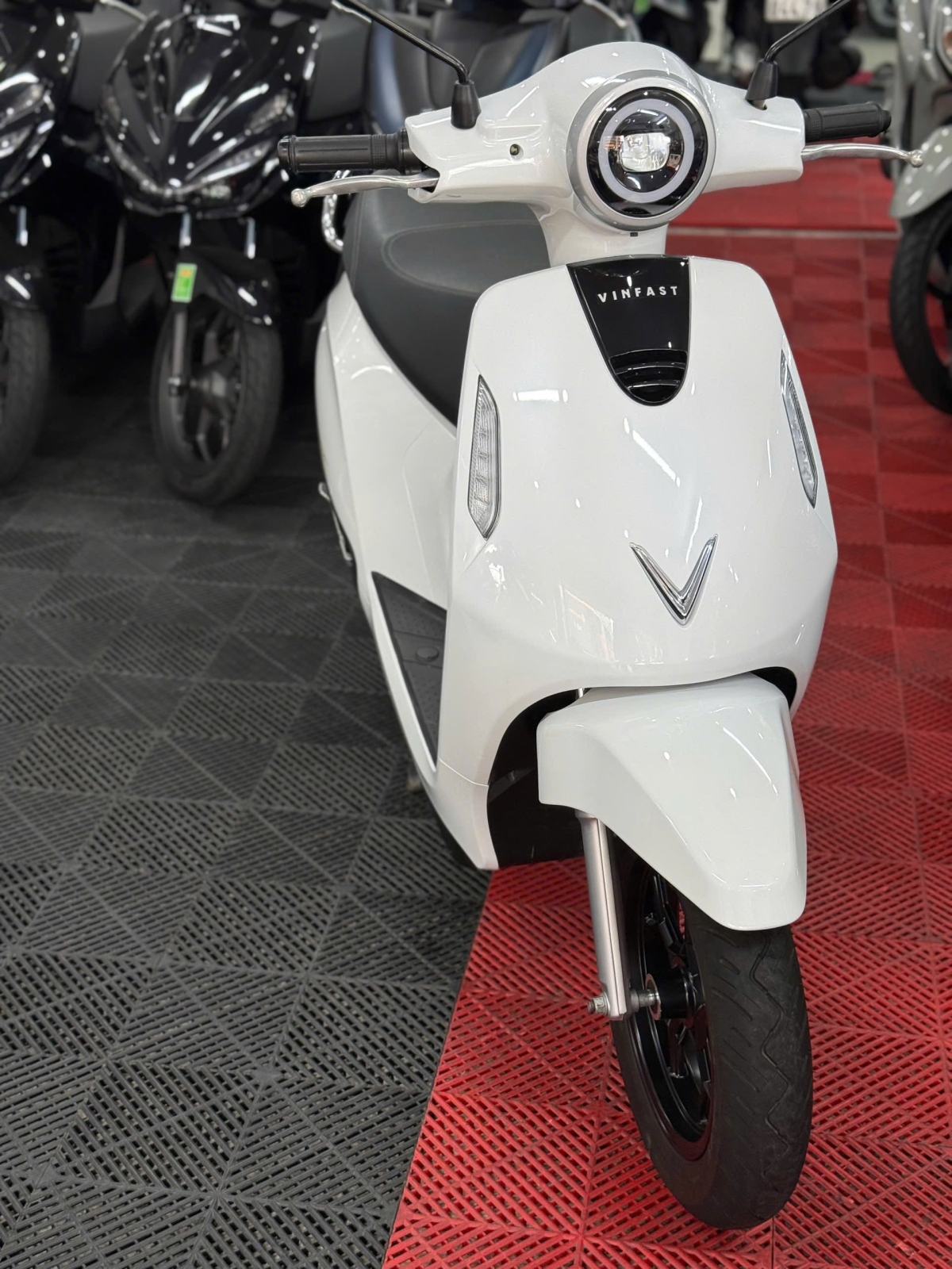 VINFART EVO GRAND 2025 64AA - 16073