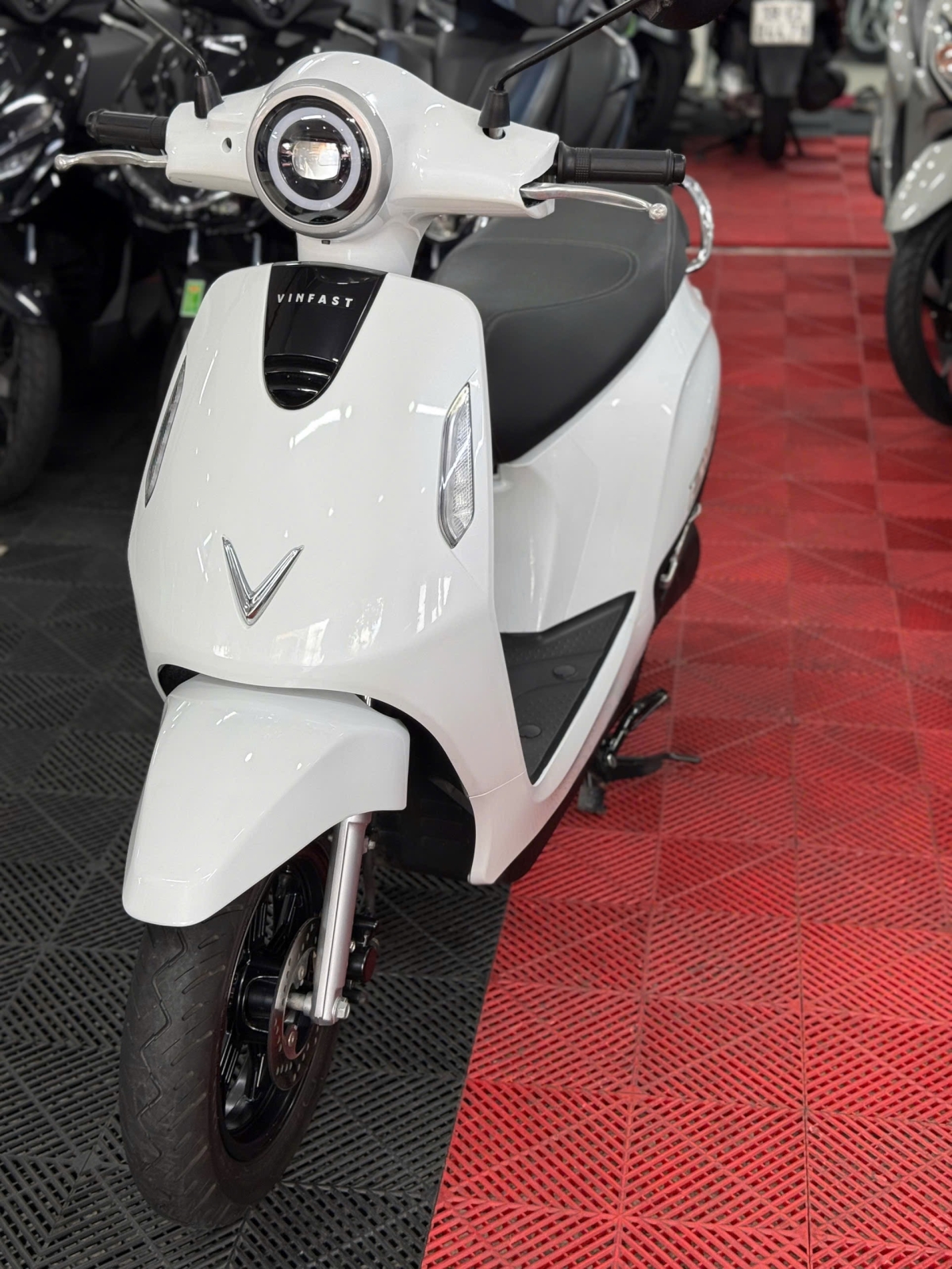 VINFART EVO GRAND 2025 64AA - 16073