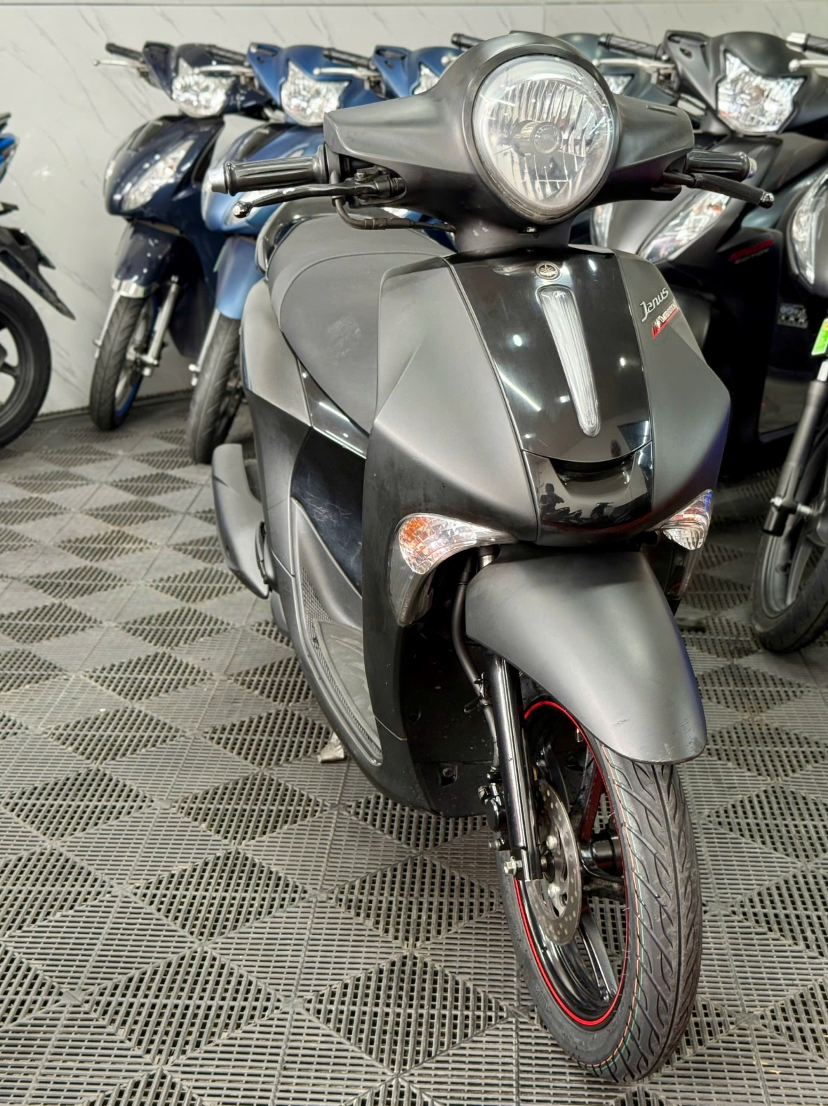 Yamaha Janus 2021 83C1-66510