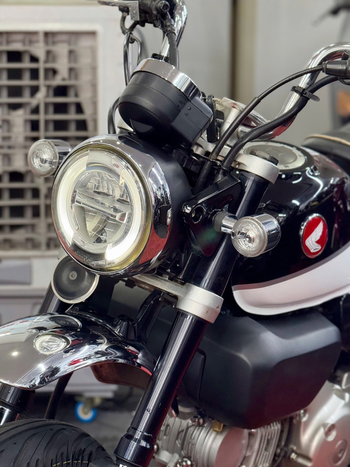 Honda Monkey 125 2021 60B3-80507