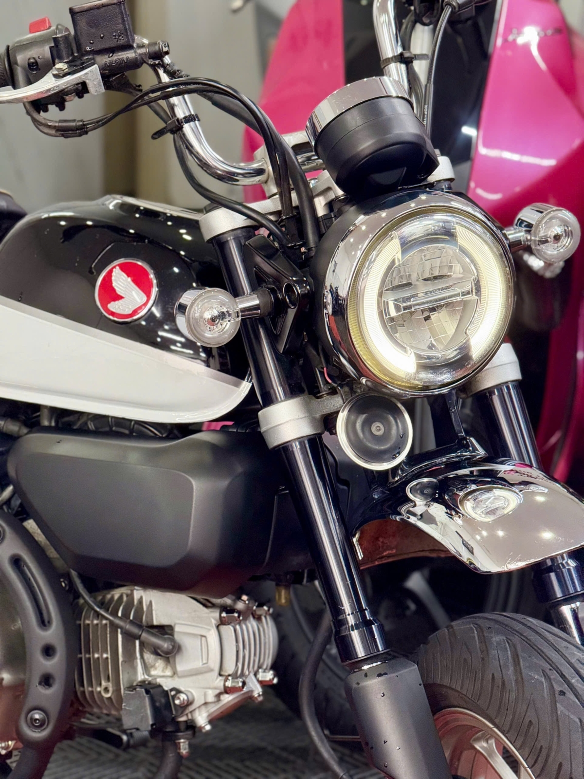 Honda Monkey 125 2021 60B3-80507