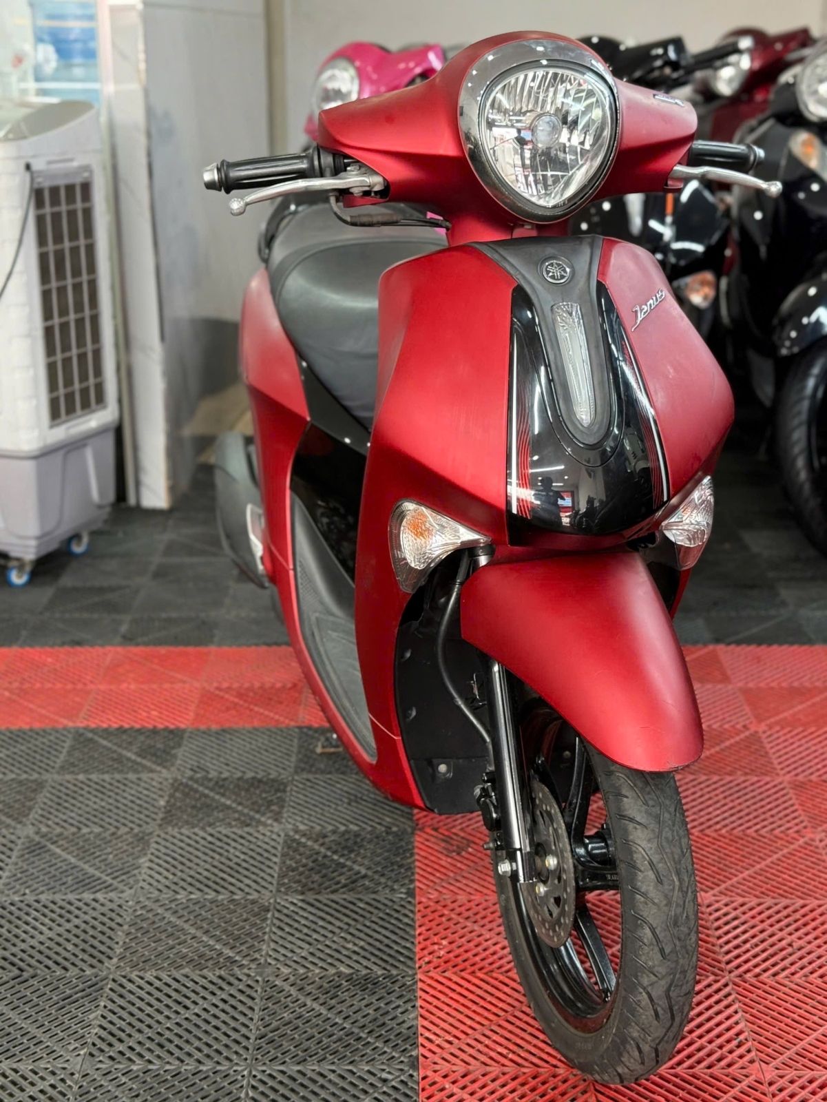 Yamaha Janus 2023 65DB-04458