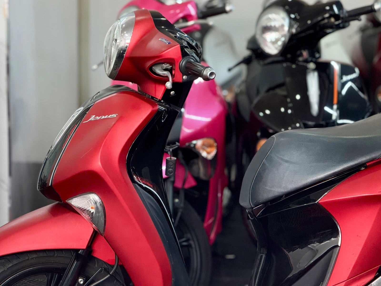 Yamaha Janus 2023 65DB-04458