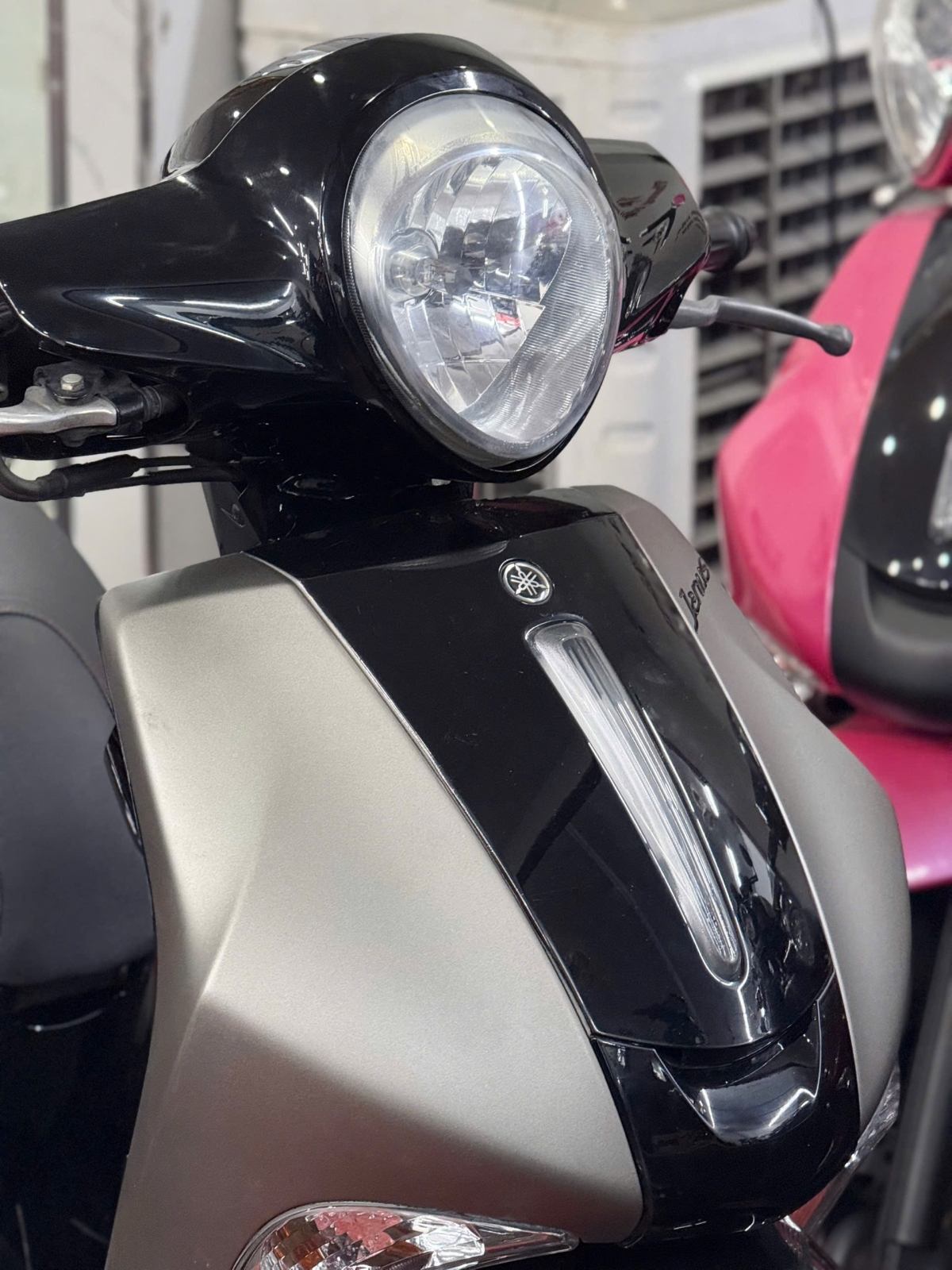 Yamaha Janus 2017 59Z1-33800