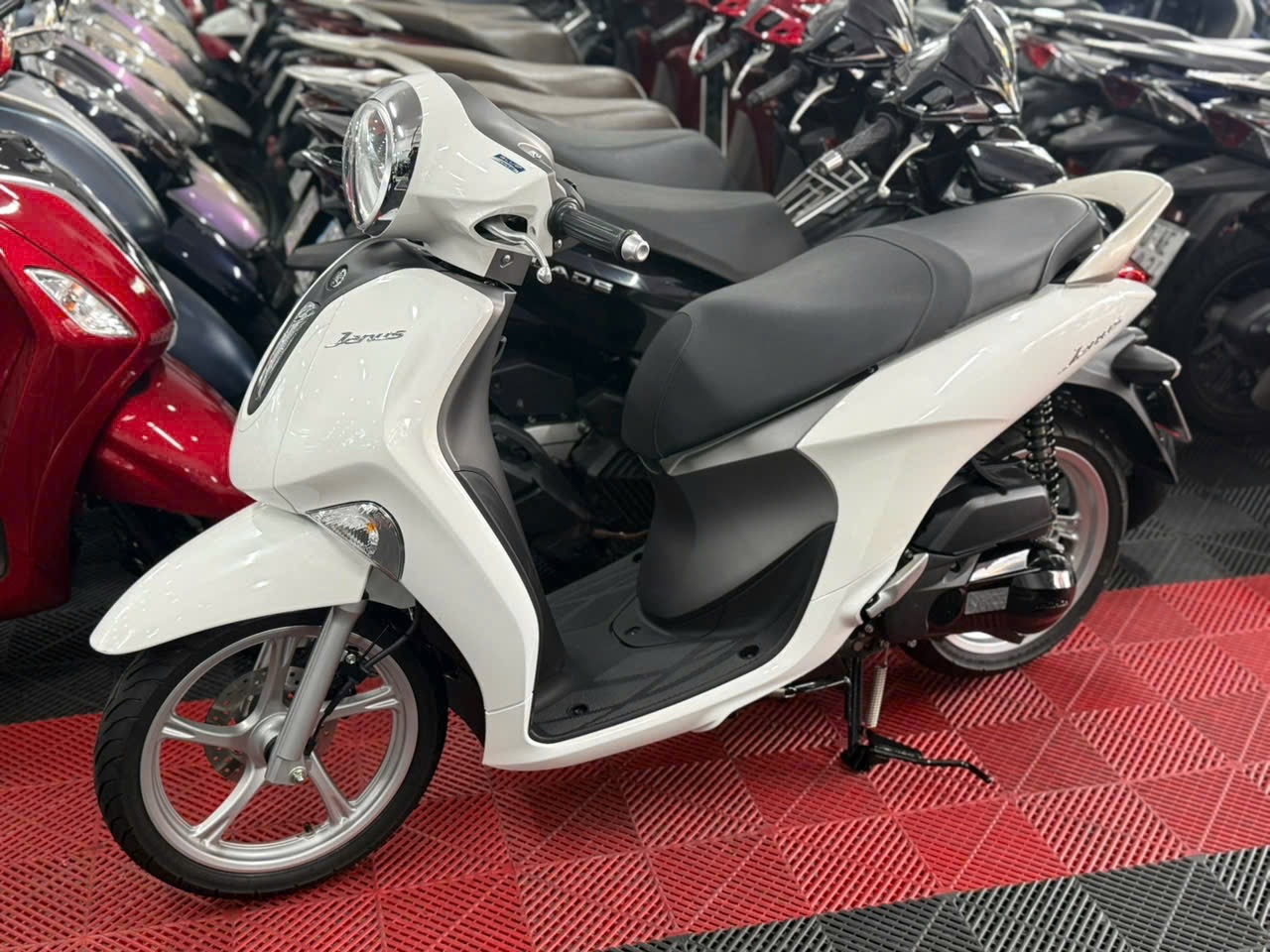 Janus 2024 Khoá Chìa 65MA-14230