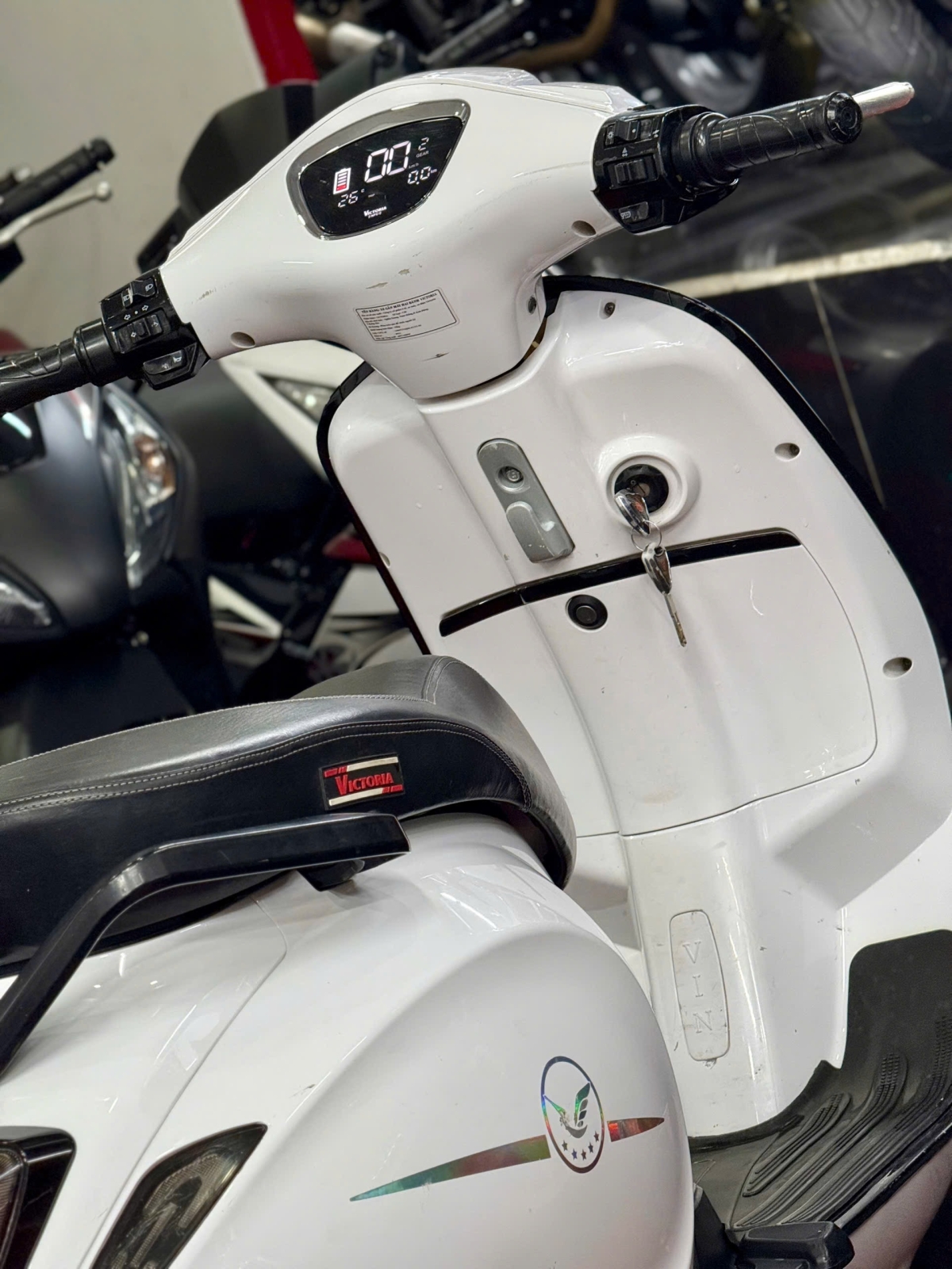 Victoria V38 2024 86MD1-00171