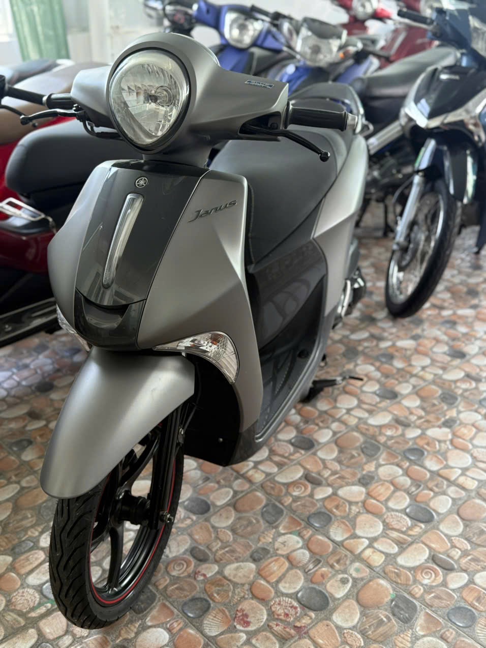 Janus 2017 SMK 70H1-32806