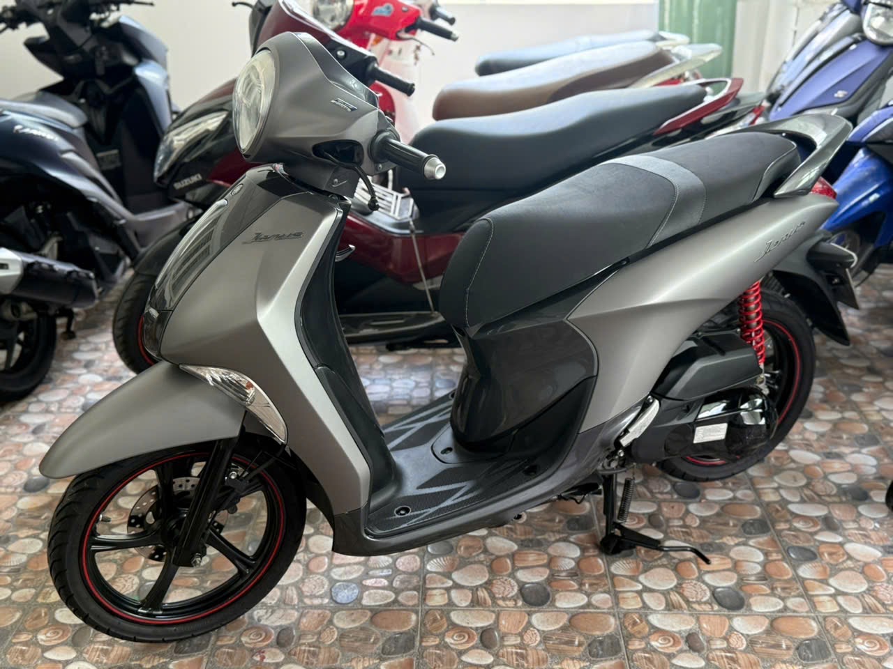 Janus 2017 SMK 70H1-32806