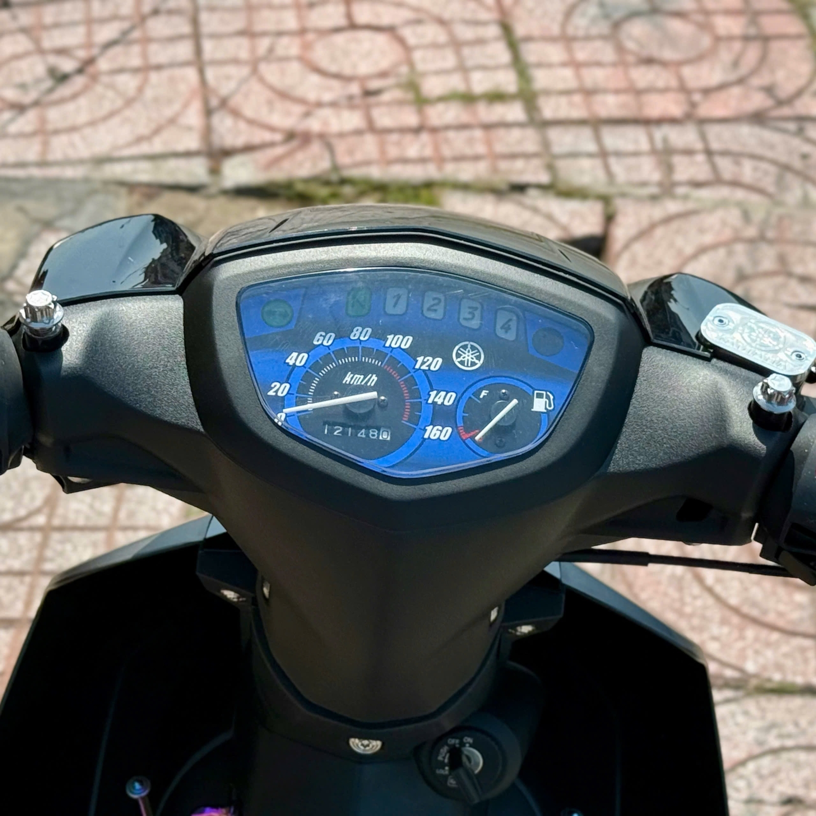 Sirius 2024 83XL-04312