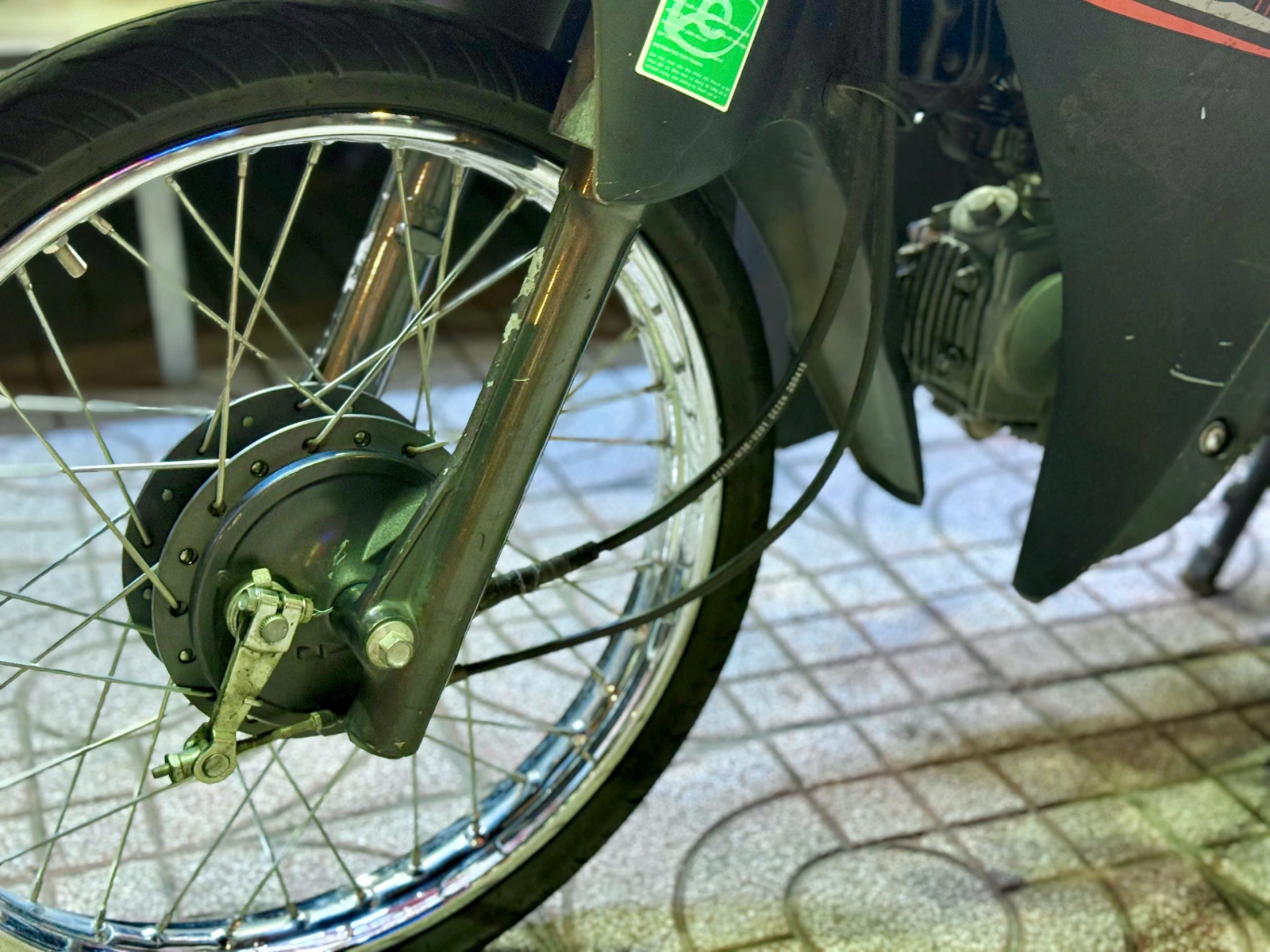 Elegant 50cc 2020 85AA-03750