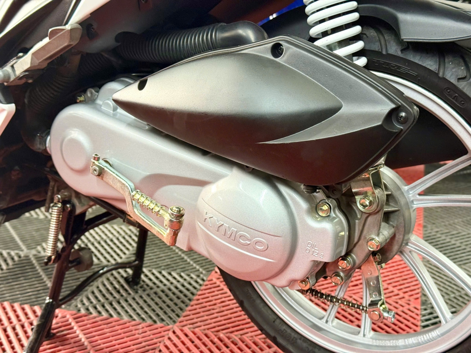 Candy Hi 2017 59XA-01257