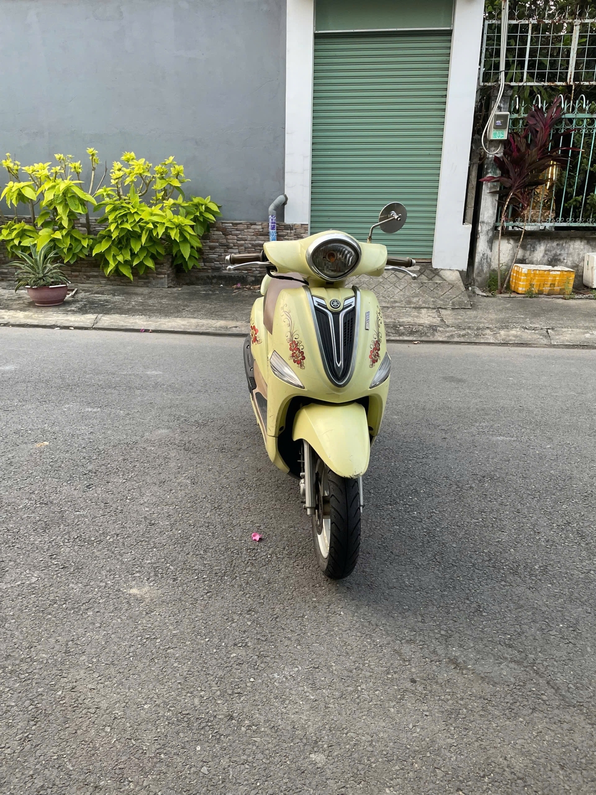 Nozza 2011 93H1-01567