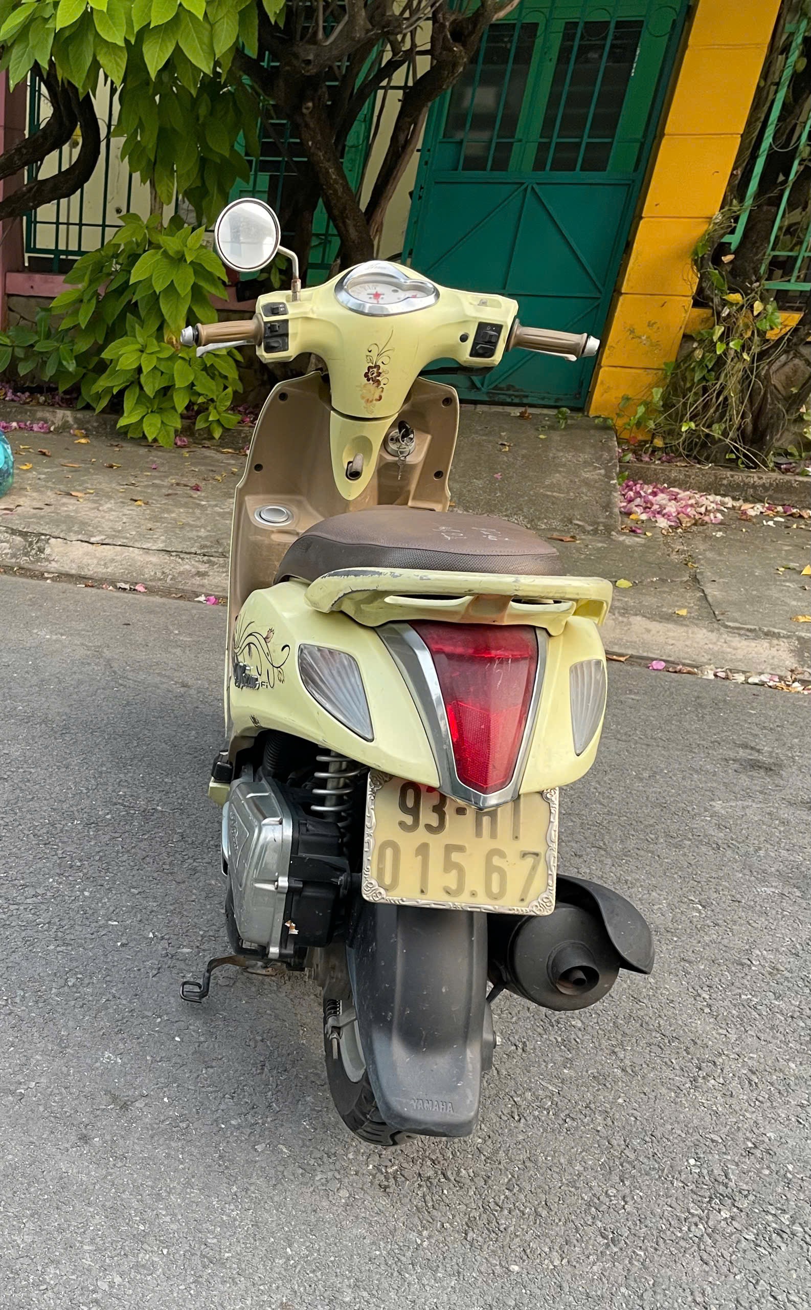 Nozza 2011 93H1-01567