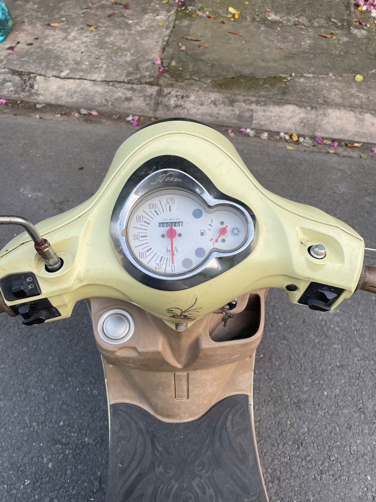 Nozza 2011 93H1-01567