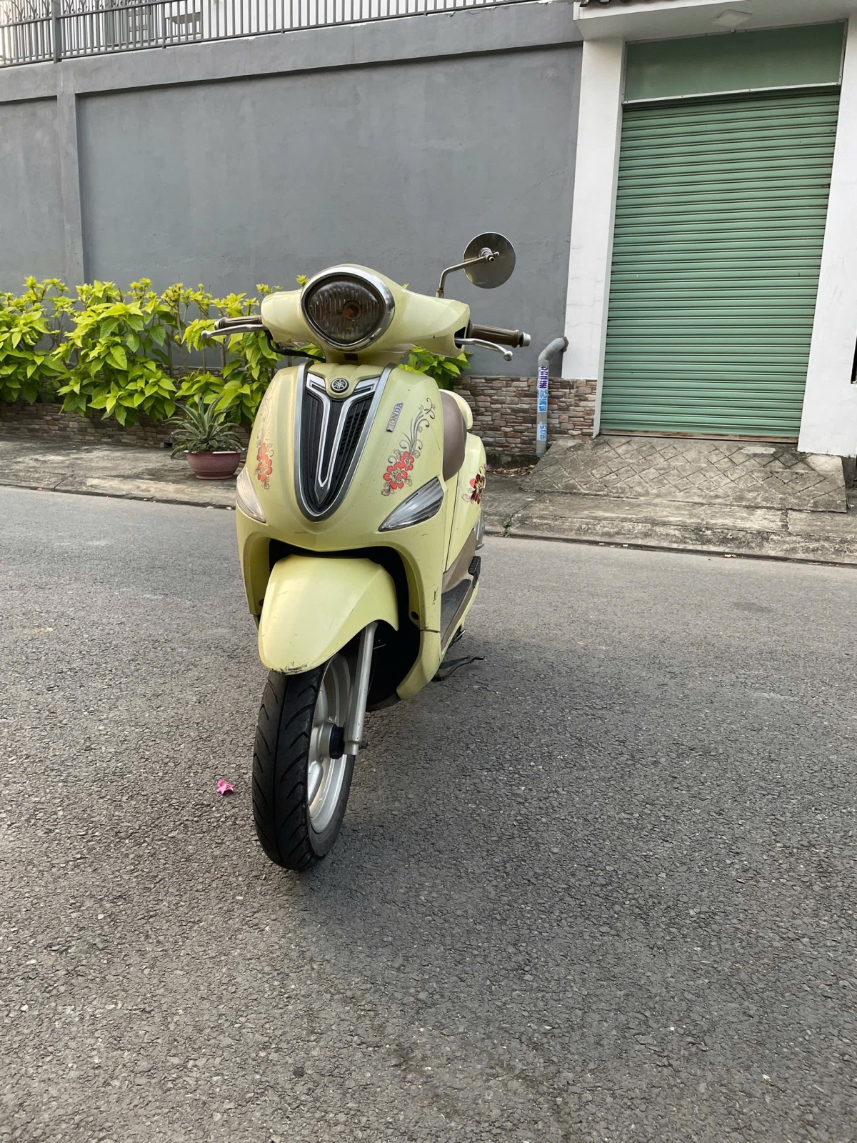 Nozza 2011 93H1-01567