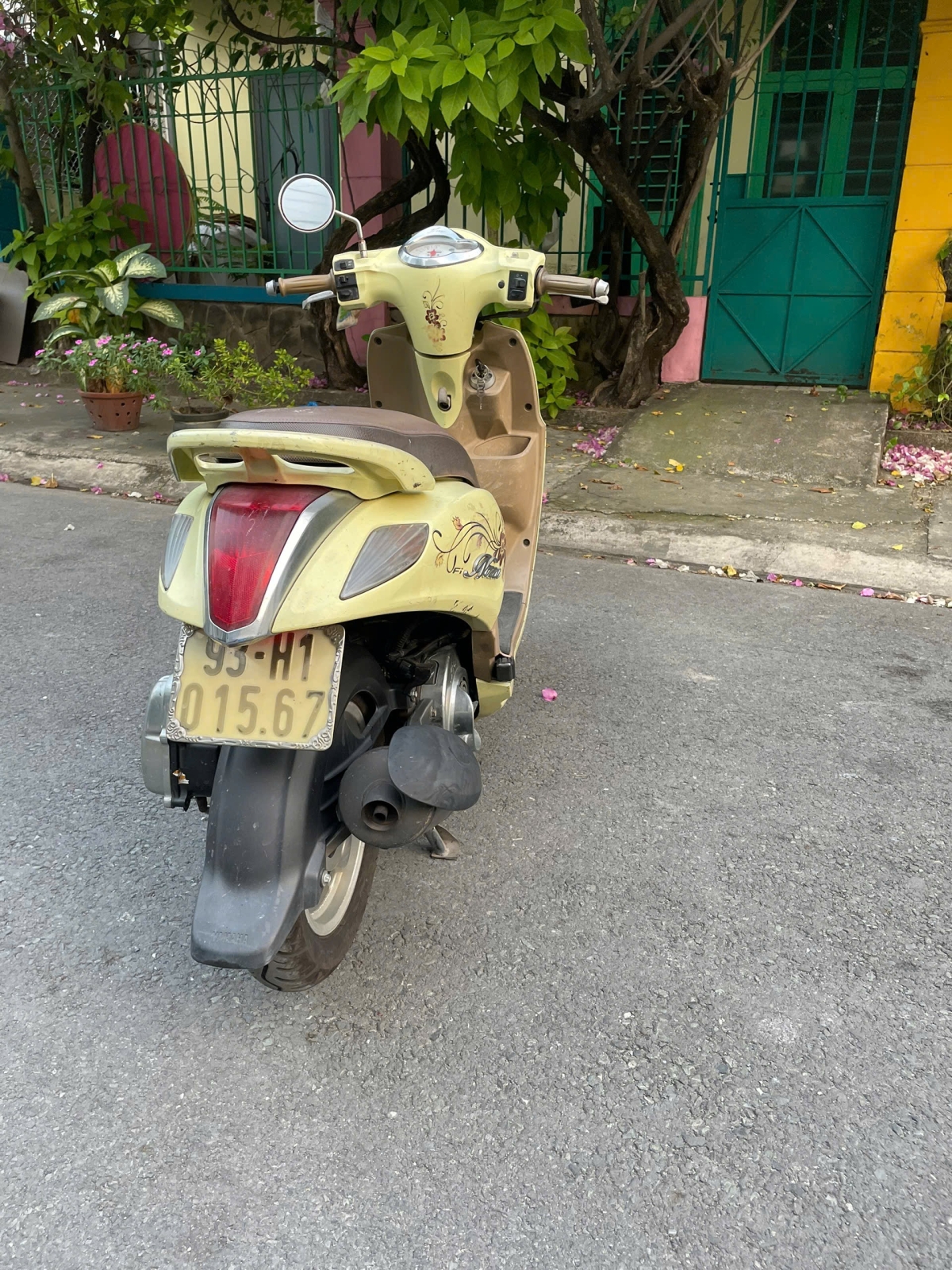 Nozza 2011 93H1-01567