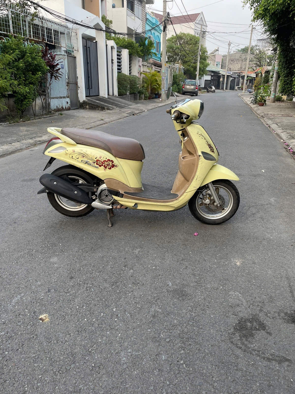 Nozza 2011 93H1-01567