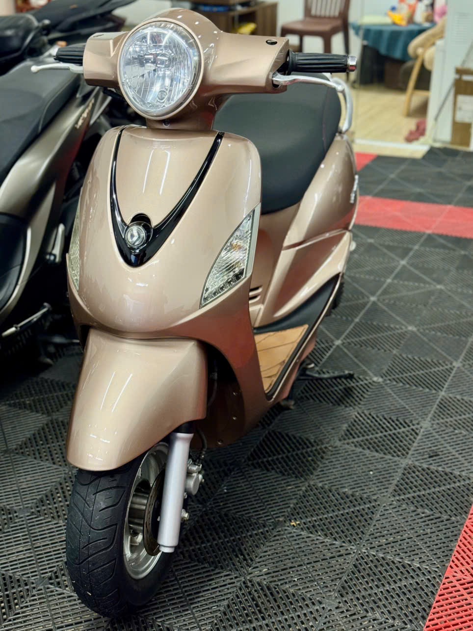 Atila Elizabet 2012 49B1-13888