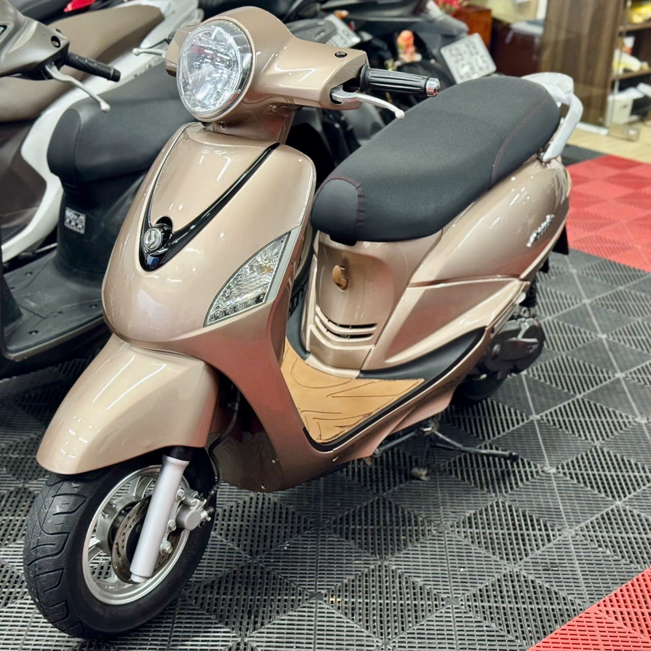 Atila Elizabet 2012 49B1-13888