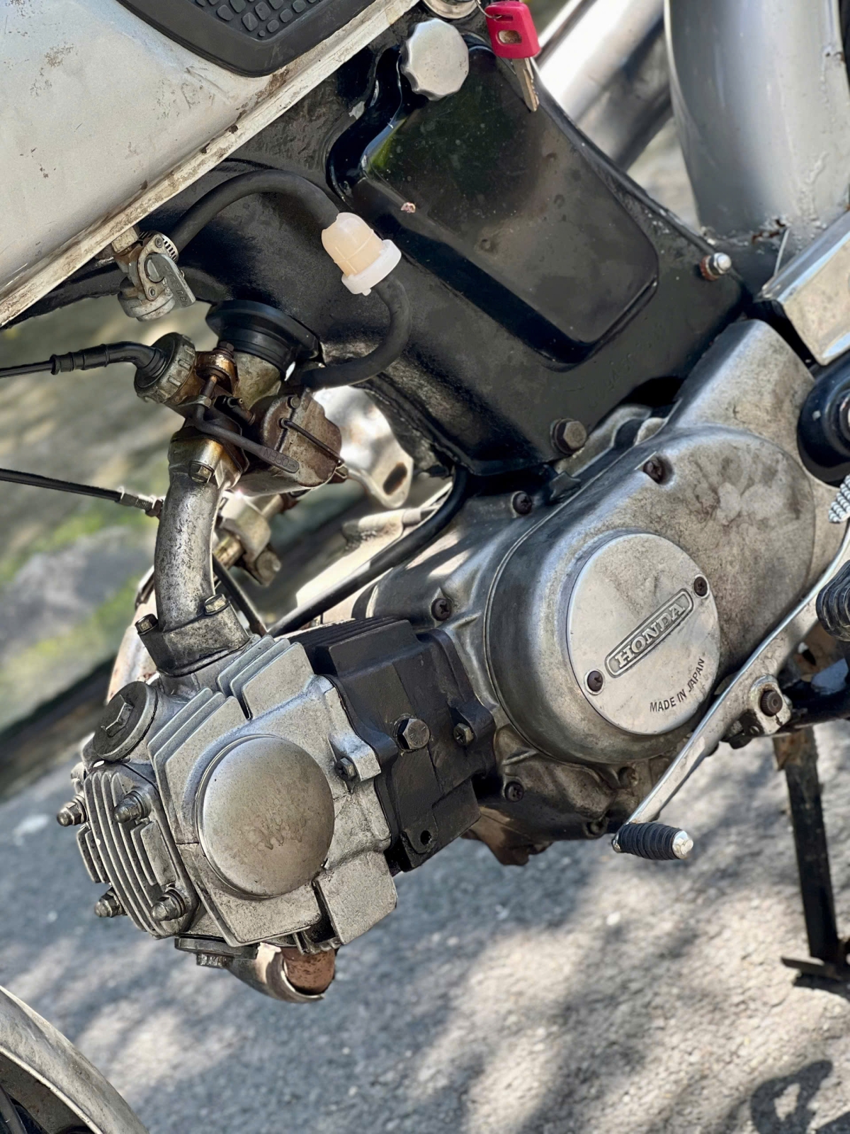 Honda 67 Biển: 83FB-6083