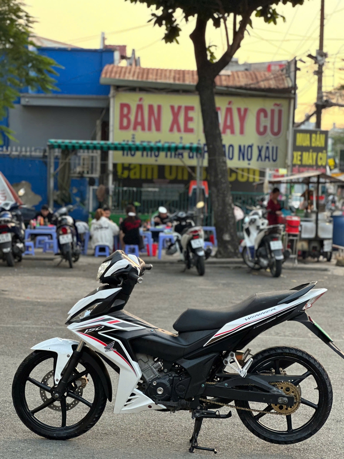 HONDA WINENR V1 BS 60F2-335.55